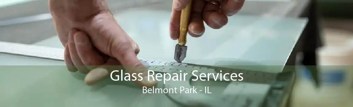 Glass Repair Services Belmont Park - IL