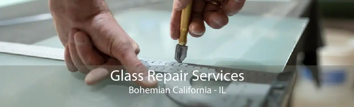 Glass Repair Services Bohemian California - IL