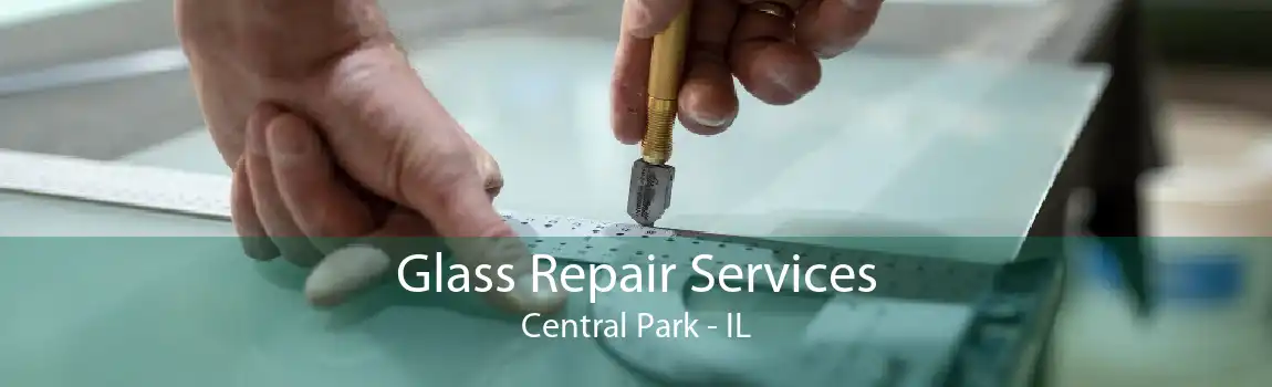 Glass Repair Services Central Park - IL