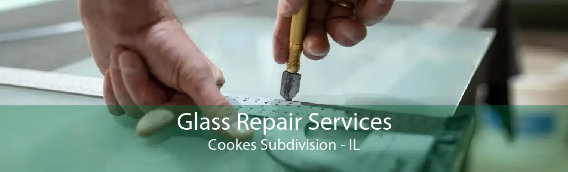 Glass Repair Services Cookes Subdivision - IL