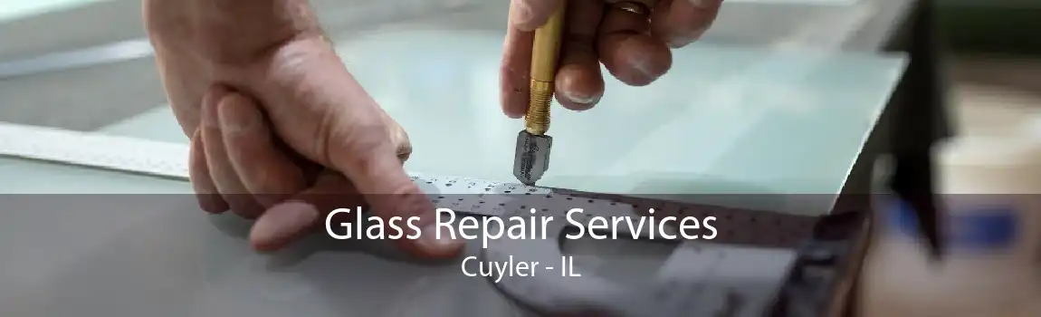 Glass Repair Services Cuyler - IL