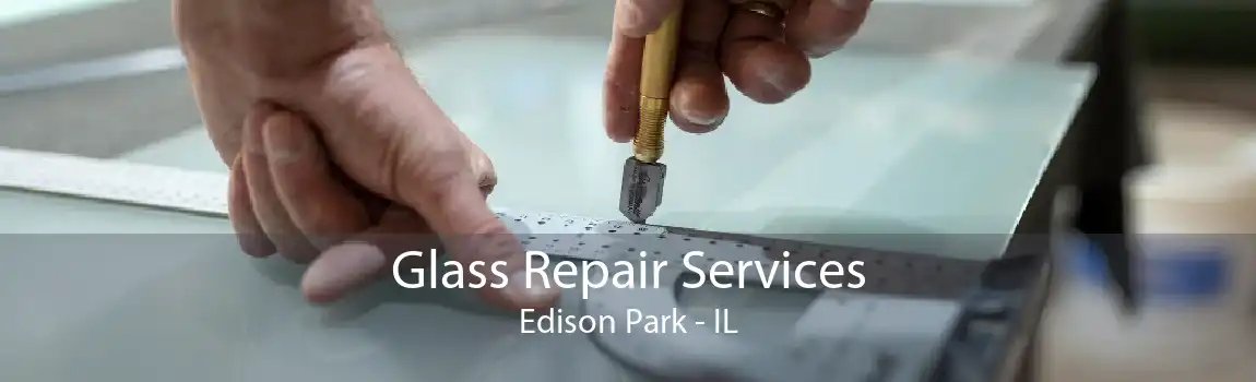 Glass Repair Services Edison Park - IL