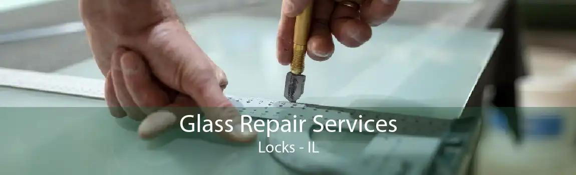 Glass Repair Services Locks - IL