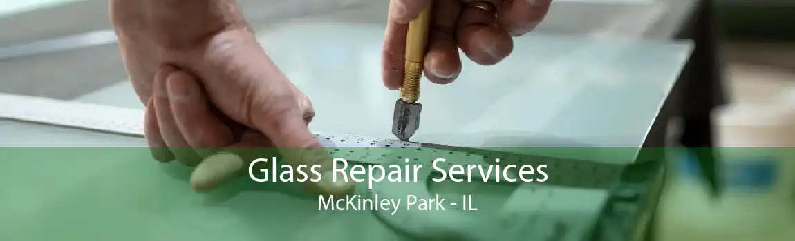 Glass Repair Services McKinley Park - IL