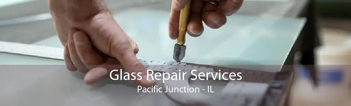 Glass Repair Services Pacific Junction - IL