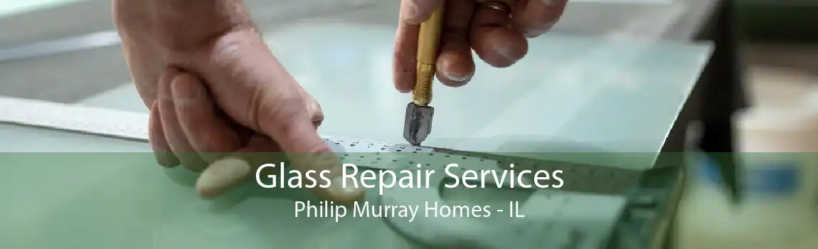 Glass Repair Services Philip Murray Homes - IL