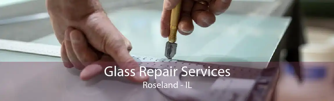 Glass Repair Services Roseland - IL