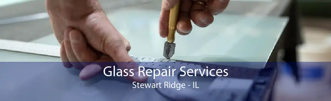 Glass Repair Services Stewart Ridge - IL