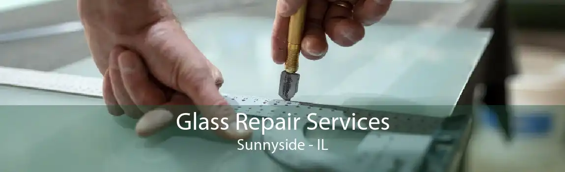 Glass Repair Services Sunnyside - IL