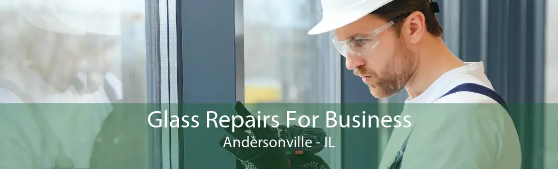 Glass Repairs For Business Andersonville - IL