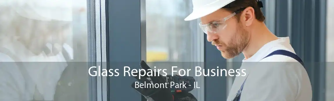 Glass Repairs For Business Belmont Park - IL