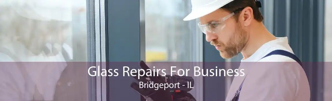 Glass Repairs For Business Bridgeport - IL