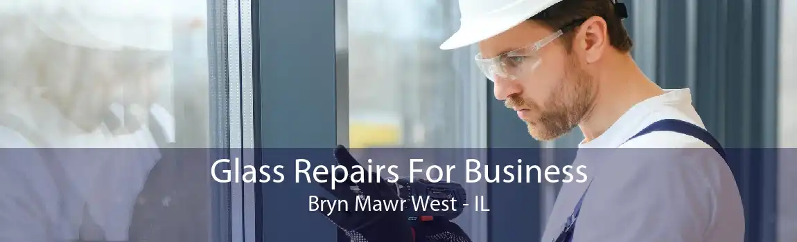 Glass Repairs For Business Bryn Mawr West - IL