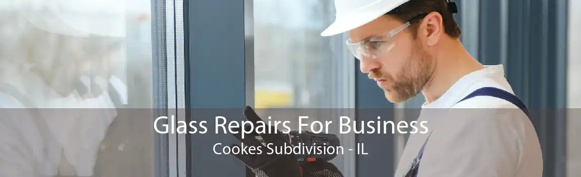 Glass Repairs For Business Cookes Subdivision - IL