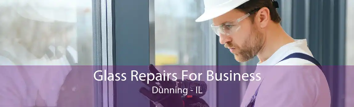 Glass Repairs For Business Dunning - IL