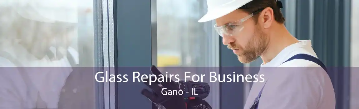 Glass Repairs For Business Gano - IL