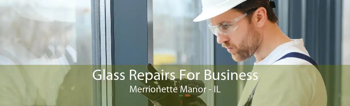 Glass Repairs For Business Merrionette Manor - IL