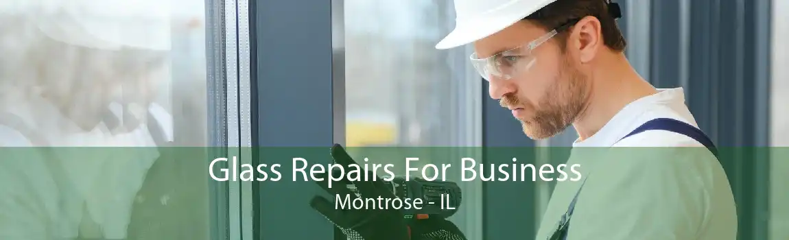 Glass Repairs For Business Montrose - IL