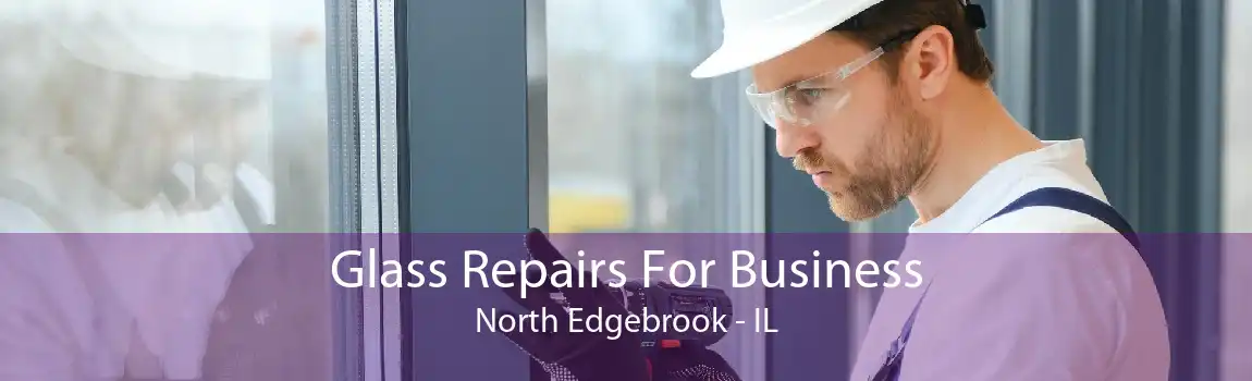 Glass Repairs For Business North Edgebrook - IL