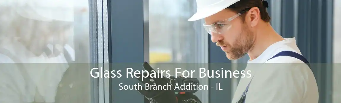 Glass Repairs For Business South Branch Addition - IL