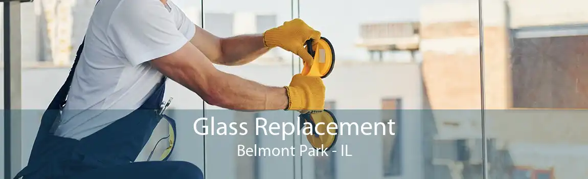 Glass Replacement Belmont Park - IL