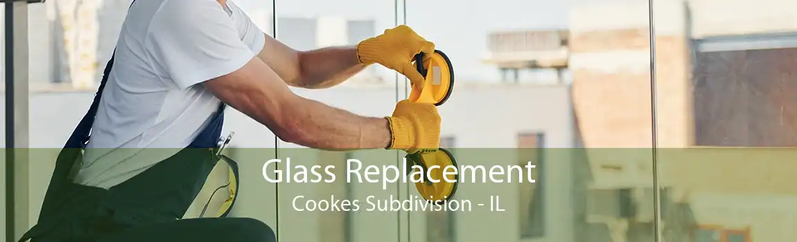 Glass Replacement Cookes Subdivision - IL