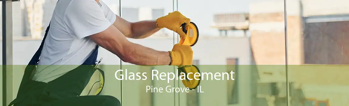 Glass Replacement Pine Grove - IL