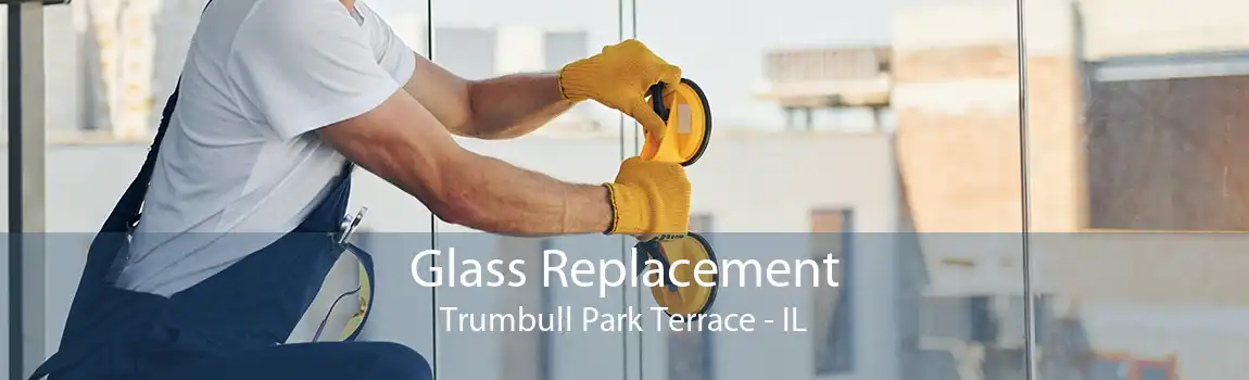 Glass Replacement Trumbull Park Terrace - IL