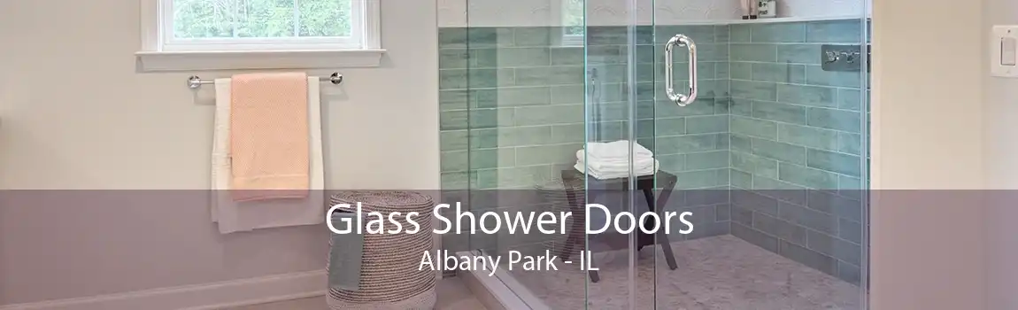 Glass Shower Doors Albany Park - IL