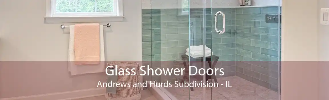 Glass Shower Doors Andrews and Hurds Subdivision - IL