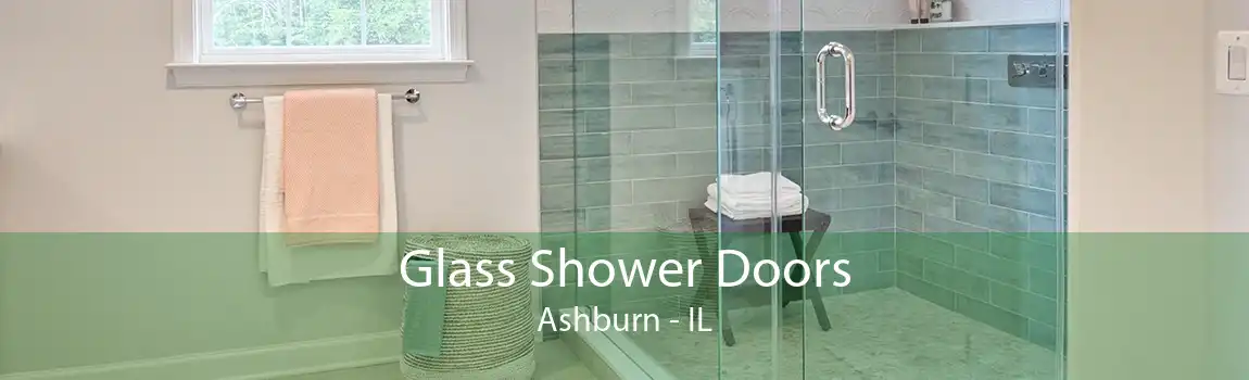 Glass Shower Doors Ashburn - IL