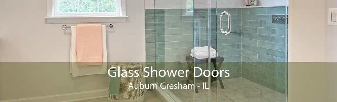 Glass Shower Doors Auburn Gresham - IL