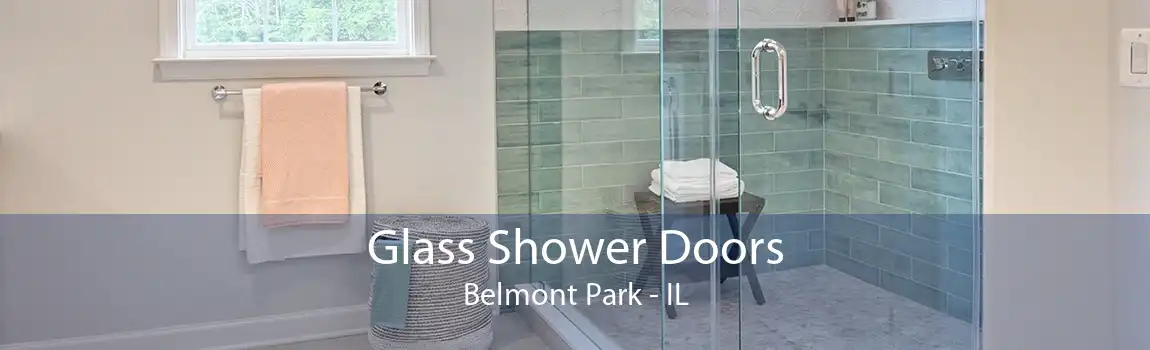 Glass Shower Doors Belmont Park - IL