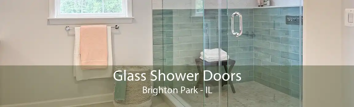 Glass Shower Doors Brighton Park - IL