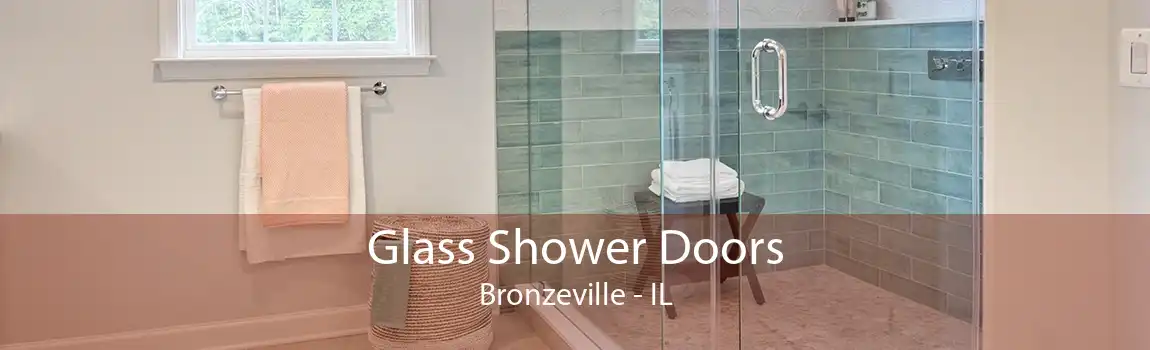 Glass Shower Doors Bronzeville - IL