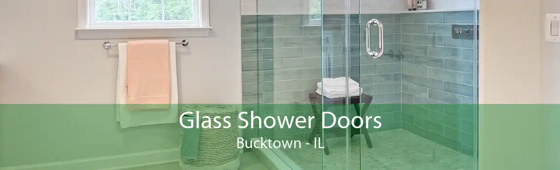 Glass Shower Doors Bucktown - IL