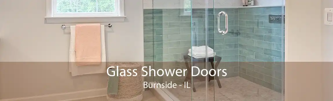 Glass Shower Doors Burnside - IL