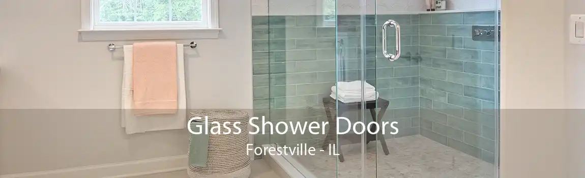 Glass Shower Doors Forestville - IL