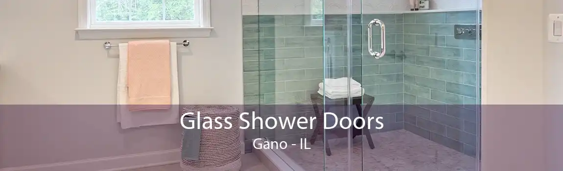 Glass Shower Doors Gano - IL