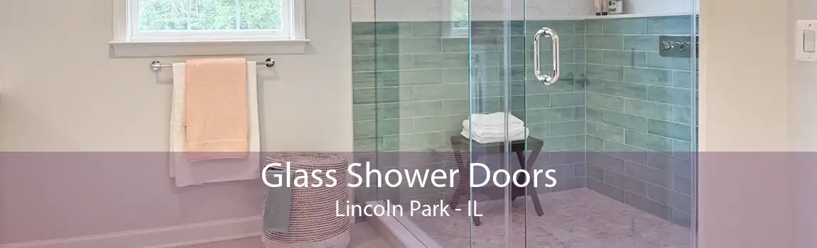 Glass Shower Doors Lincoln Park - IL