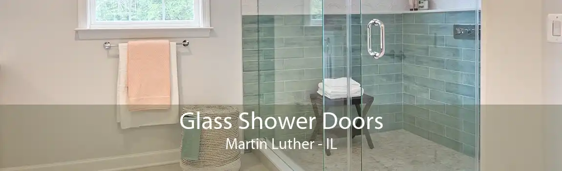 Glass Shower Doors Martin Luther - IL