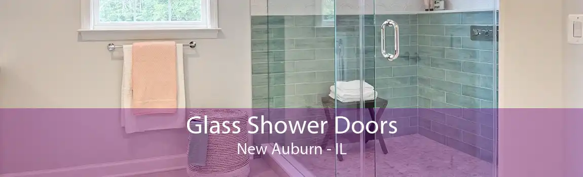 Glass Shower Doors New Auburn - IL