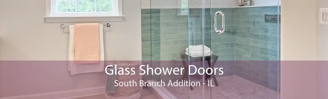 Glass Shower Doors South Branch Addition - IL