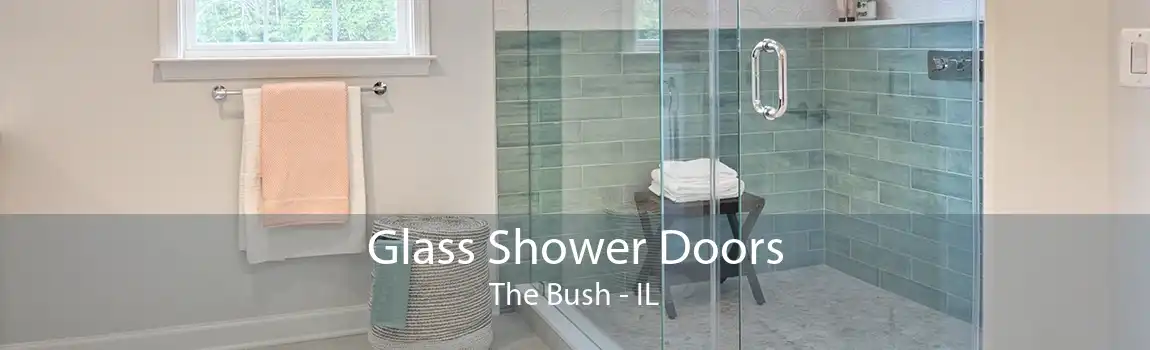 Glass Shower Doors The Bush - IL