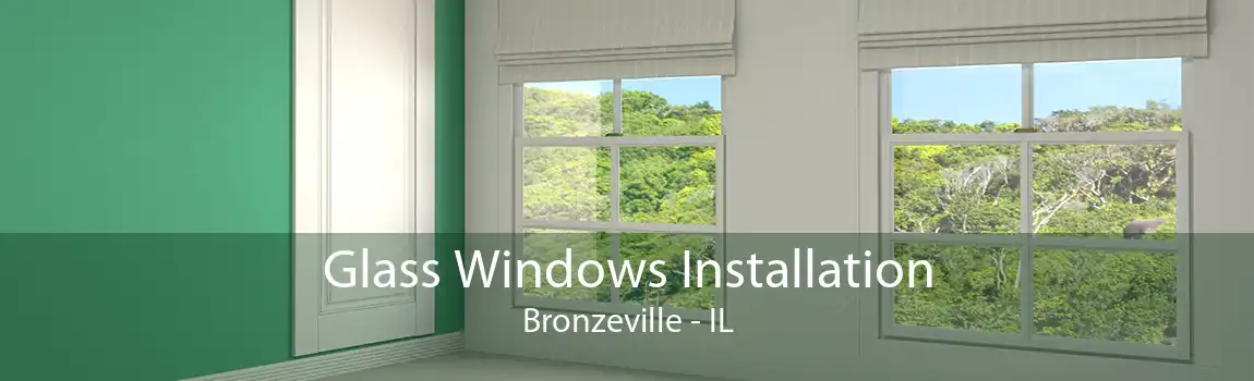 Glass Windows Installation Bronzeville - IL