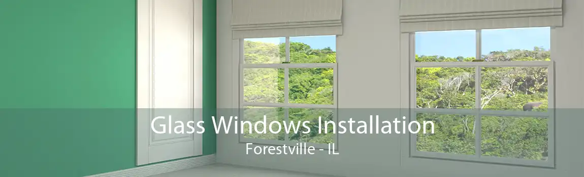 Glass Windows Installation Forestville - IL