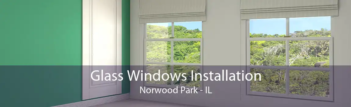 Glass Windows Installation Norwood Park - IL