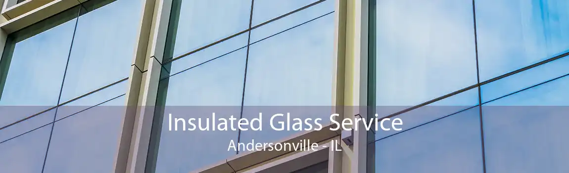 Insulated Glass Service Andersonville - IL