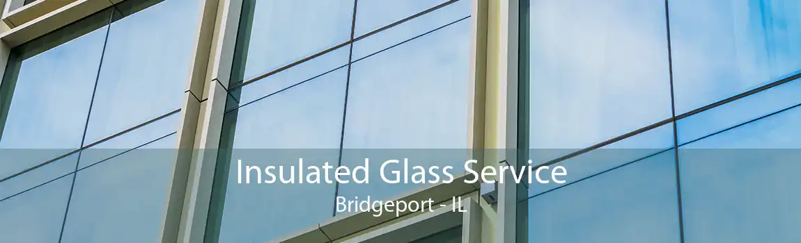 Insulated Glass Service Bridgeport - IL