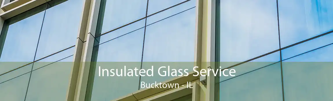 Insulated Glass Service Bucktown - IL